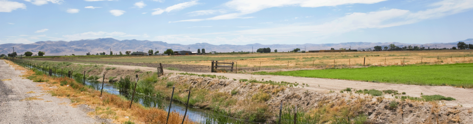 "Just outside of Fallon Nevada is this comfortable countryside view. Mountains,lush fields,fencing and water ditch with country road."