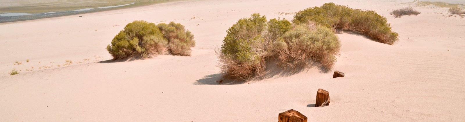 Lake Lahontan in the Nevada high desert with posts and sand